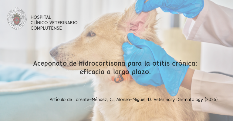 Aceponato de hidrocortisona para la otitis crónica: eficacia a largo plazo